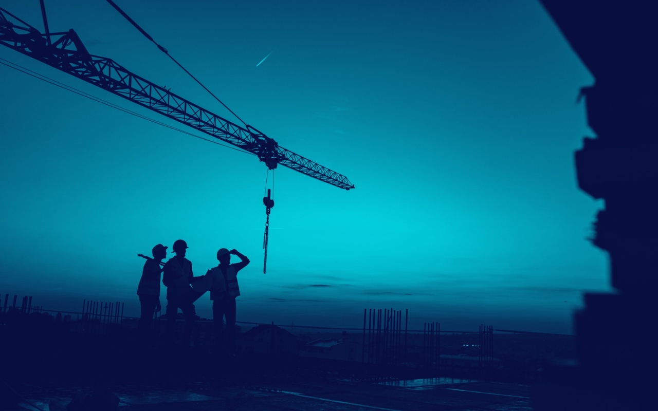 Emerging as a project professional
